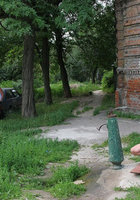 Блондинка посреди улицы разделась догола шокируя прохожих 9 фото Блондинка посреди улицы разделась догола шокируя прохожих 9 фото