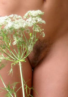 Девушка позирует на фоне поваленного дерева 5 фото Девушка позирует на фоне поваленного дерева 5 фото