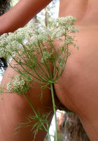 Девушка позирует на фоне поваленного дерева 8 фото Девушка позирует на фоне поваленного дерева 8 фото