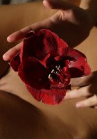 Безумно красивая брюнетка с цветком показывает все, что имеет 2 фото Безумно красивая брюнетка с цветком показывает все, что имеет 2 фото