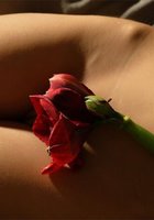 Безумно красивая брюнетка с цветком показывает все, что имеет 10 фото Безумно красивая брюнетка с цветком показывает все, что имеет 10 фото