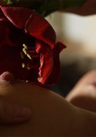 Безумно красивая брюнетка с цветком показывает все, что имеет 9 фото Безумно красивая брюнетка с цветком показывает все, что имеет 9 фото