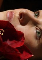 Безумно красивая брюнетка с цветком показывает все, что имеет 4 фото Безумно красивая брюнетка с цветком показывает все, что имеет 4 фото