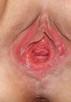 Розовые киски снятые крупным планом 14 фото Розовые киски снятые крупным планом 14 фото