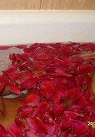 Зрелые жены готовы приоткрыть свои секреты молодым подругам 18 фото Зрелые жены готовы приоткрыть свои секреты молодым подругам 18 фото