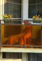 Подборка секса снятого на скрытую камеру 12 фото Подборка секса снятого на скрытую камеру 12 фото