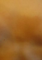 Красивая модель лежит в бане 11 фото Красивая модель лежит в бане 11 фото